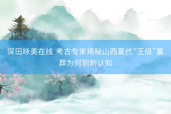 深田咏美在线 考古专家揭秘山西夏代“王级”墓葬为何刷新认知