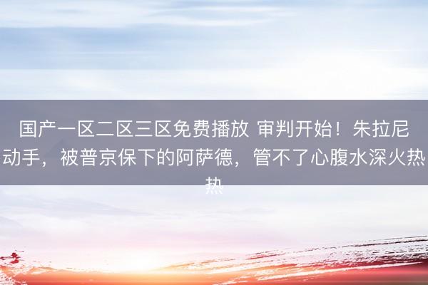 国产一区二区三区免费播放 审判开始！朱拉尼动手，被普京保下的阿萨德，管不了心腹水深火热