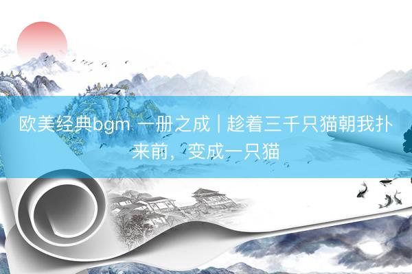 欧美经典bgm 一册之成 | 趁着三千只猫朝我扑来前，变成一只猫
