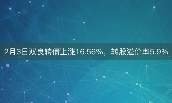 2月3日双良转债上涨16.56%，转股溢价率5.9%