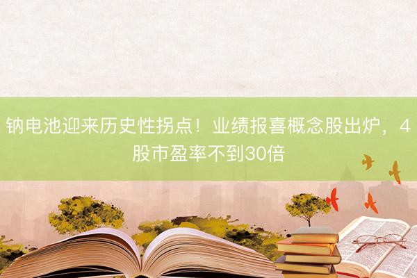钠电池迎来历史性拐点！业绩报喜概念股出炉，4股市盈率不到30倍