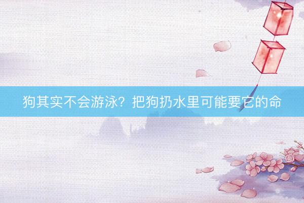 狗其实不会游泳？把狗扔水里可能要它的命