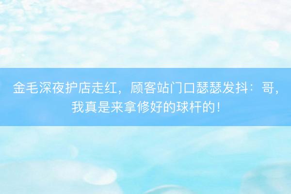 金毛深夜护店走红，顾客站门口瑟瑟发抖：哥，我真是来拿修好的球杆的！