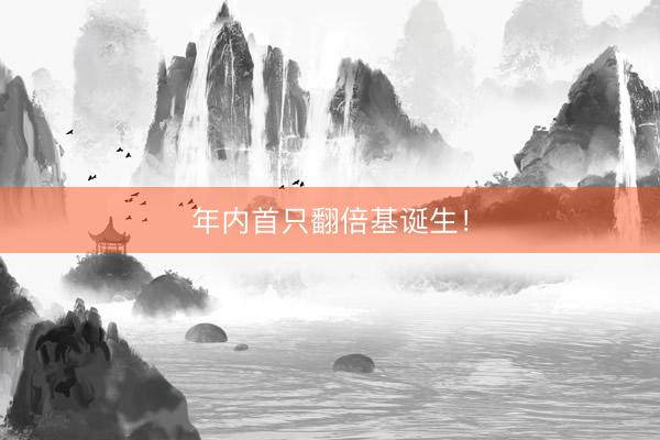 年内首只翻倍基诞生！