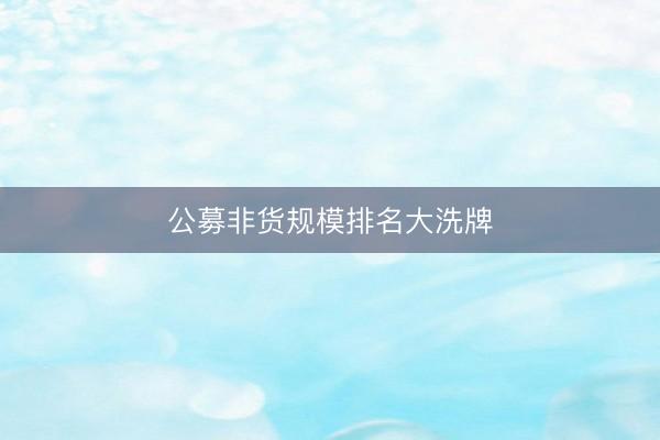 公募非货规模排名大洗牌
