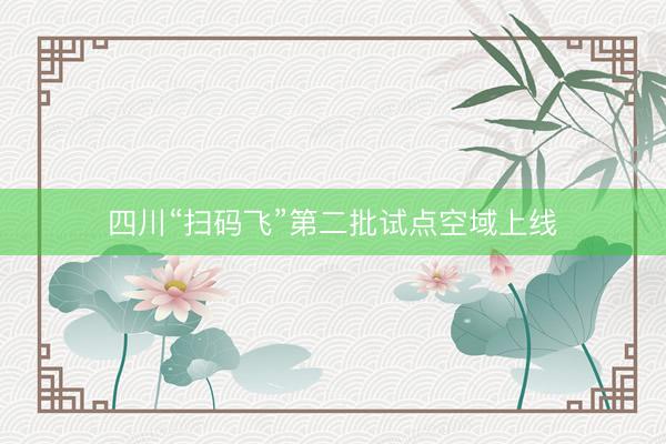 四川“扫码飞”第二批试点空域上线