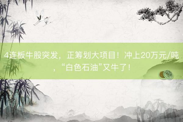 4连板牛股突发，正筹划大项目！冲上20万元/吨，“白色石油”又牛了！
