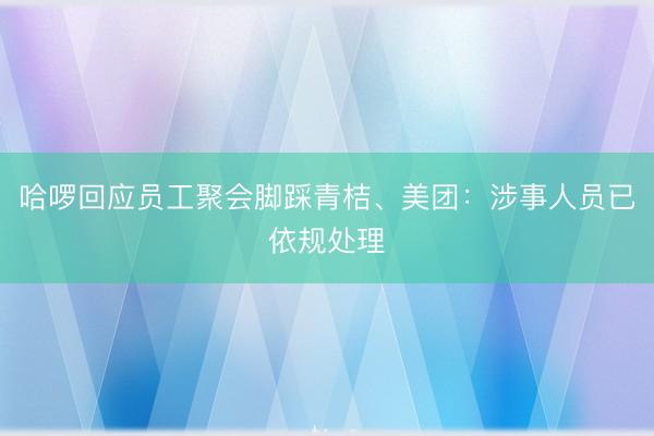 哈啰回应员工聚会脚踩青桔、美团：涉事人员已依规处理
