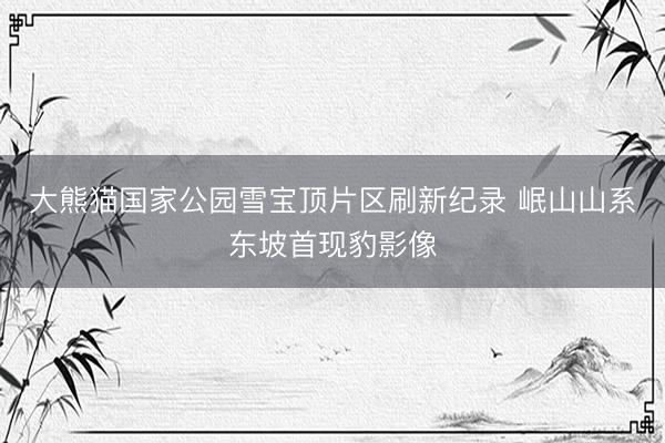 大熊猫国家公园雪宝顶片区刷新纪录 岷山山系东坡首现豹影像