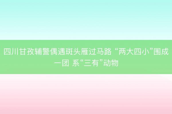 四川甘孜辅警偶遇斑头雁过马路 “两大四小”围成一团 系“三有”动物