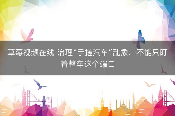 草莓视频在线 治理“手搓汽车”乱象，不能只盯着整车这个端口