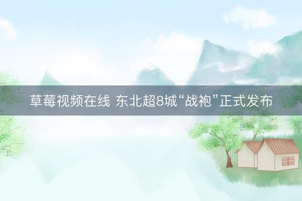 草莓视频在线 东北超8城“战袍”正式发布