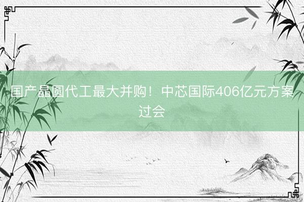 国产晶圆代工最大并购！中芯国际406亿元方案过会