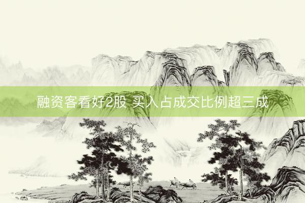 融资客看好2股 买入占成交比例超三成