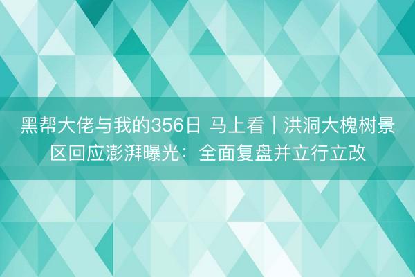 黑帮大佬与我的356日 马上看｜洪洞大槐树景区回应澎湃曝光：全面复盘并立行立改