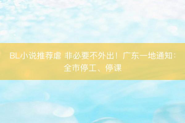 BL小说推荐虐 非必要不外出！广东一地通知：全市停工、停课