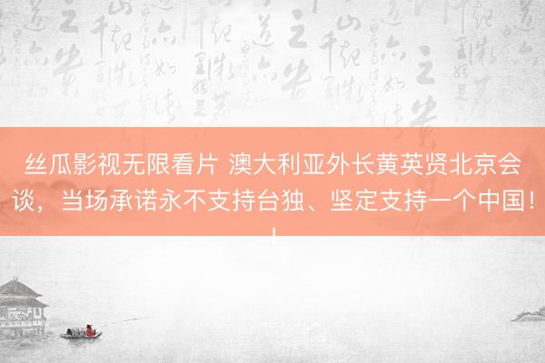 丝瓜影视无限看片 澳大利亚外长黄英贤北京会谈,当场承诺永不支持台独、坚定支持一个中国!