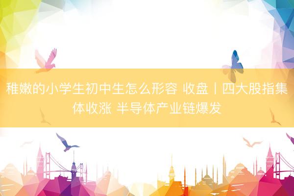 稚嫩的小学生初中生怎么形容 收盘丨四大股指集体收涨 半导体产业链爆发