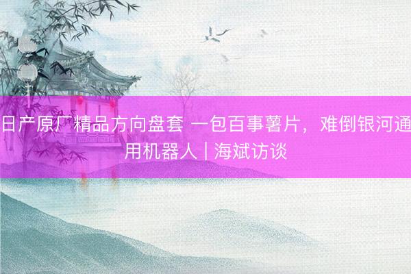 日产原厂精品方向盘套 一包百事薯片，难倒银河通用机器人 | 海斌访谈