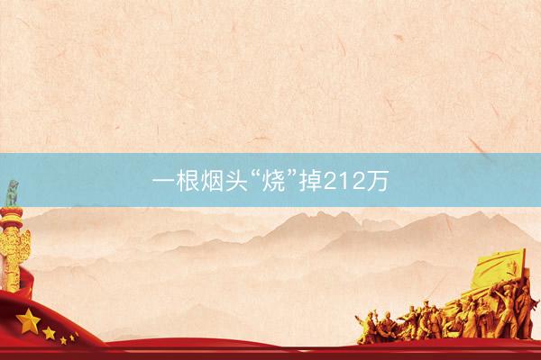 一根烟头“烧”掉212万