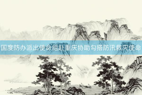 国度防办派出使命组赴重庆协助勾搭防汛救灾使命