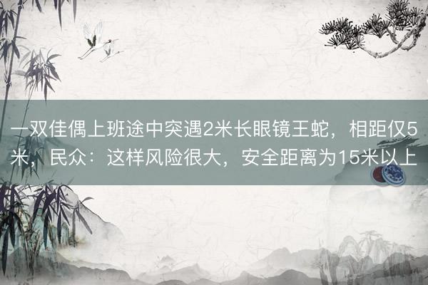 一双佳偶上班途中突遇2米长眼镜王蛇,相距仅5米,民众:这样风险很大,安全距离为15米以上
