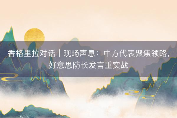 香格里拉对话|现场声息:中方代表聚焦领略,好意思防长发言重实战