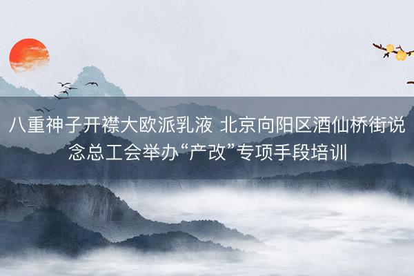 八重神子开襟大欧派乳液 北京向阳区酒仙桥街说念总工会举办“产改”专项手段培训