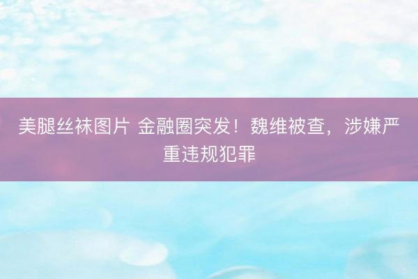 美腿丝袜图片 金融圈突发!魏维被查,涉嫌严重违规犯罪