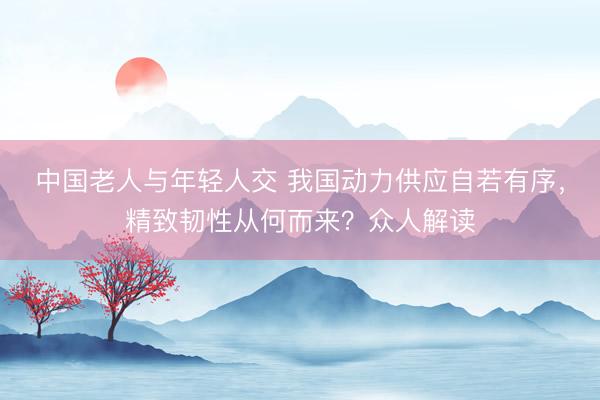 中国老人与年轻人交 我国动力供应自若有序，精致韧性从何而来？众人解读