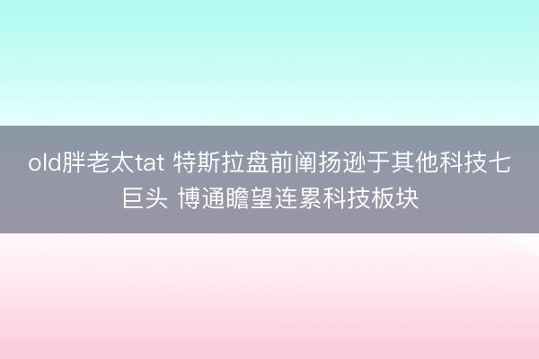 old胖老太tat 特斯拉盘前阐扬逊于其他科技七巨头 博通瞻望连累科技板块