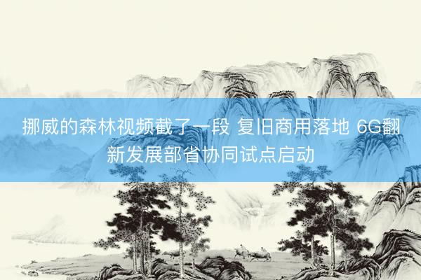 挪威的森林视频截了一段 复旧商用落地 6G翻新发展部省协同试点启动