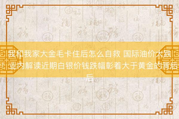 我和我家大金毛卡住后怎么自救 国际油价大跌！业内解读近期白银价钱跌幅彰着大于黄金的背后