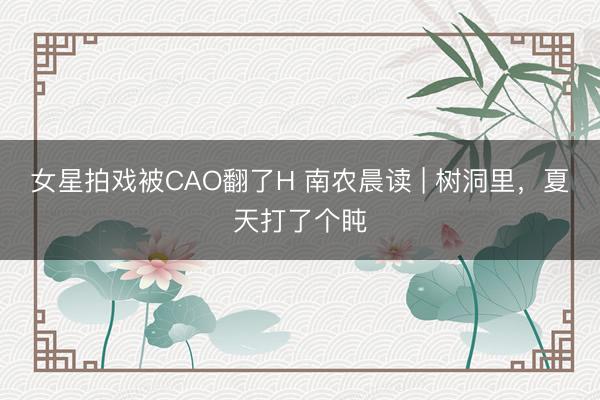 女星拍戏被CAO翻了H 南农晨读 | 树洞里,夏天打了个盹
