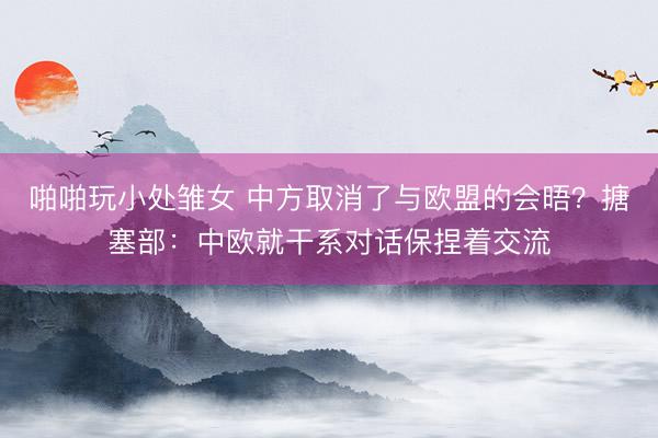 啪啪玩小处雏女 中方取消了与欧盟的会晤？搪塞部：中欧就干系对话保捏着交流