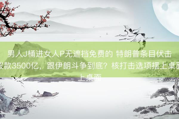 男人J桶进女人P无遮挡免费的 特朗普条目伏击拨款3500亿，跟伊朗斗争到底？核打击选项摆上桌面