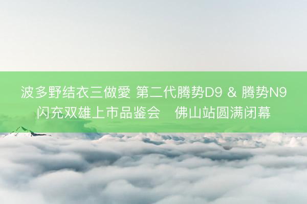 波多野结衣三做愛 第二代腾势D9 & 腾势N9闪充双雄上市品鉴会・佛山站圆满闭幕