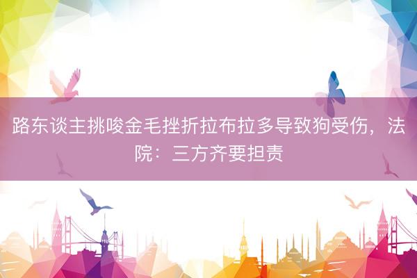 路东谈主挑唆金毛挫折拉布拉多导致狗受伤，法院：三方齐要担责
