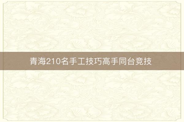 青海210名手工技巧高手同台竞技 
